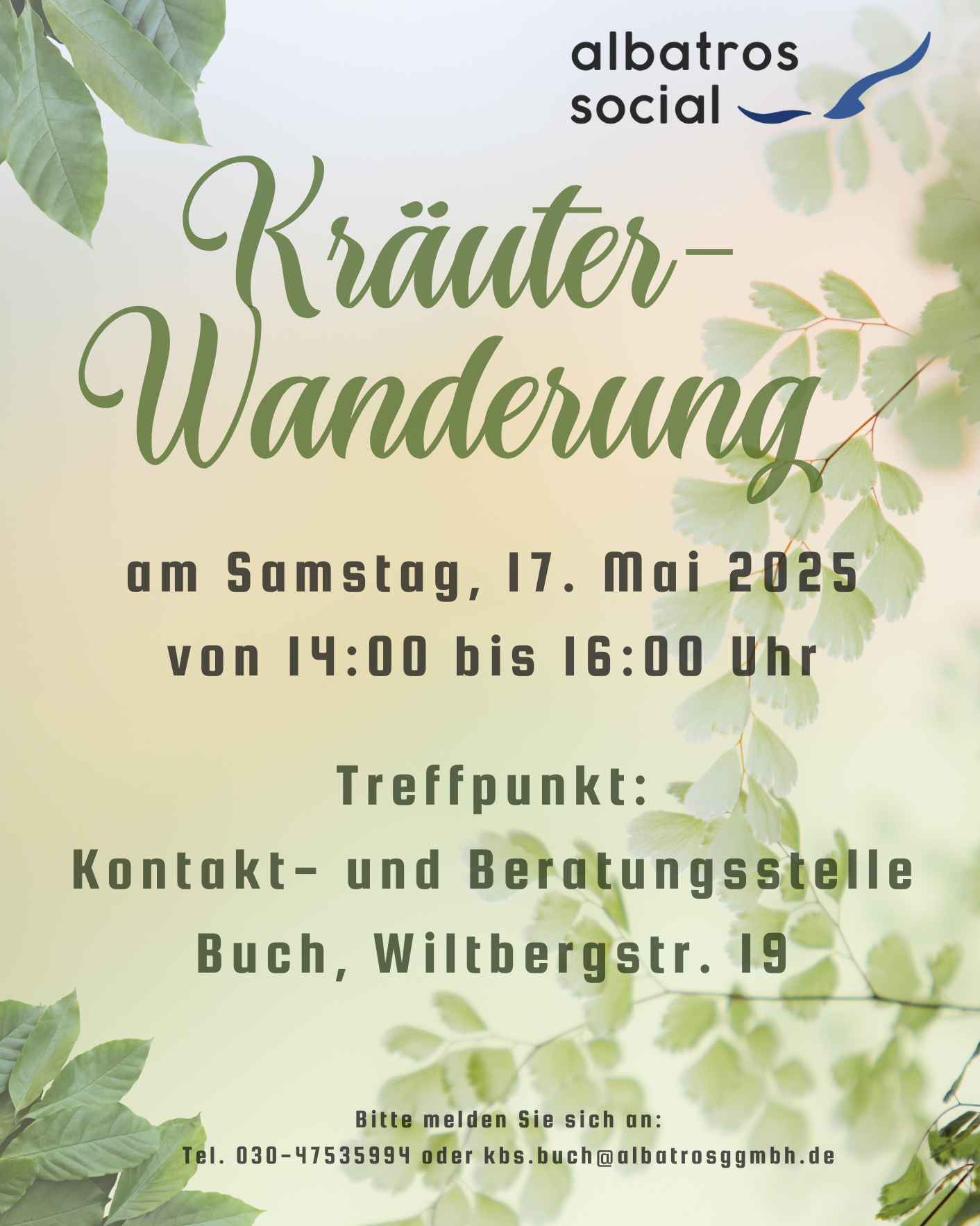 Einladung zur Kräuterwanderung am 17. Mai 2025 von 14 bis 16 Uhr