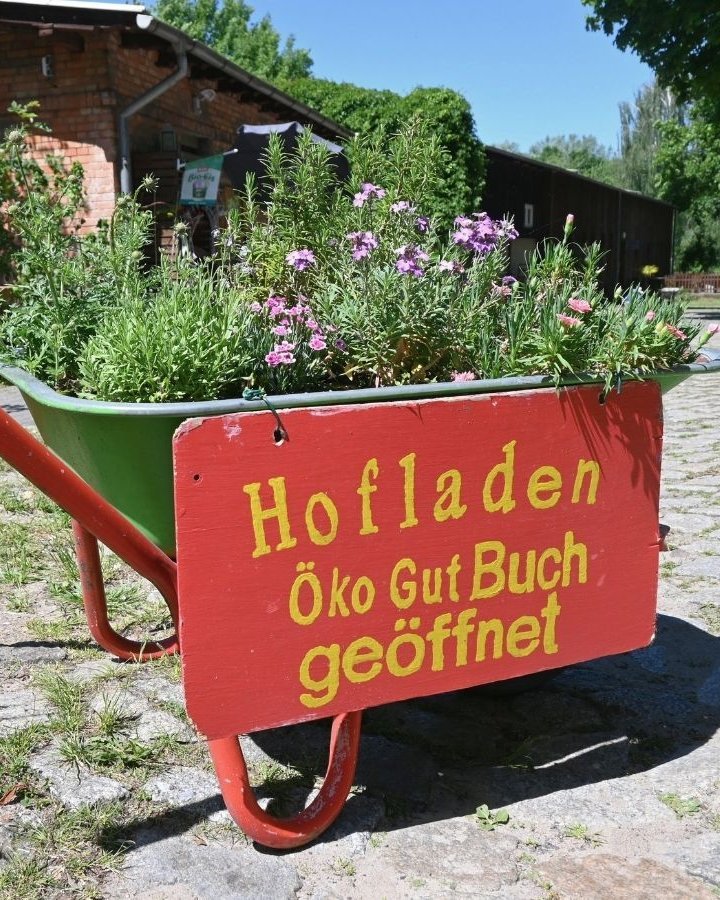 Hofladen ÖkoGut Schubkarre mit Blumen und Ladenschild