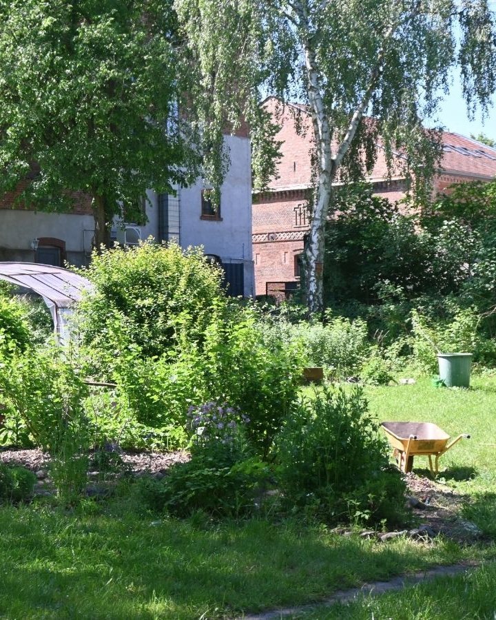 Sommer im Bauerngarten
